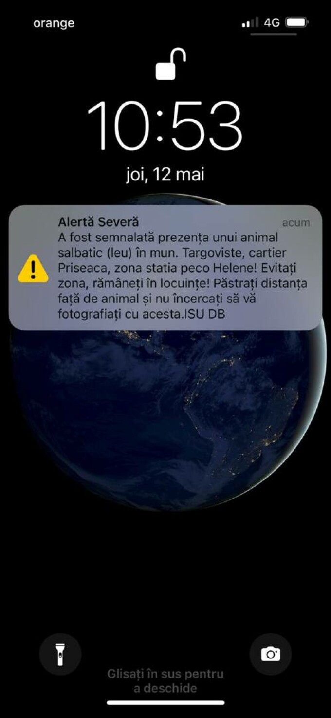 62259241