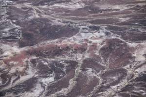 076A8354-Edit_original