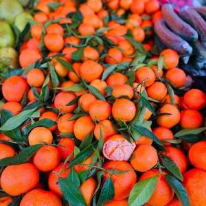 476358094_8506723766094468_1812178091480816085_n_original