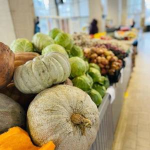 476856644_8506723806094464_9056276976167248349_n_original