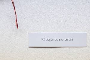 579982692_25047375914921196_4919780563354214268_n_original