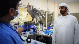 Abu-Dhabi-Falcon-Hospital_3