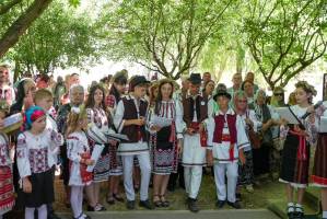 DSC03530_original