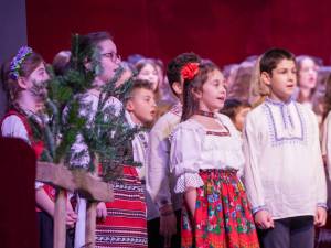 DSC04537_original_copy_2