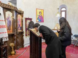 DSC04877_original_copy_1