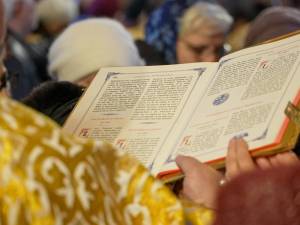 DSC05292_original_copy_1