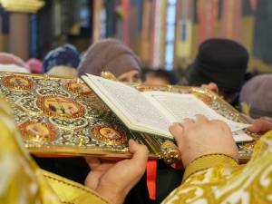 DSC05303_original_copy_1