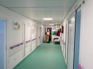 DSC05323_original_copy_1