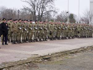 DSC05865_original_copy_1