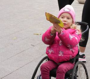 DSC08006_original_copy_1