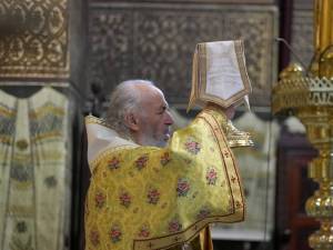 DSC08320_original_copy_1