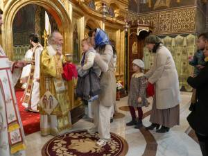 DSC08376_original_copy_1