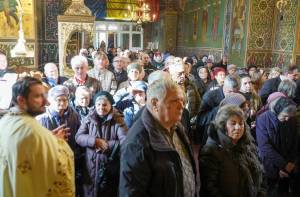 DSC08729_original_copy_1