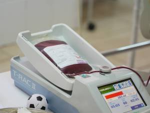 DSC08966_original_copy_1