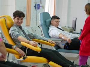 DSC08999_original_copy_2