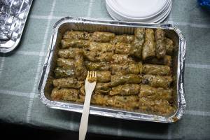 DSC_0074_original_copy_1