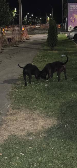 FB_IMG_1751788463118_original
