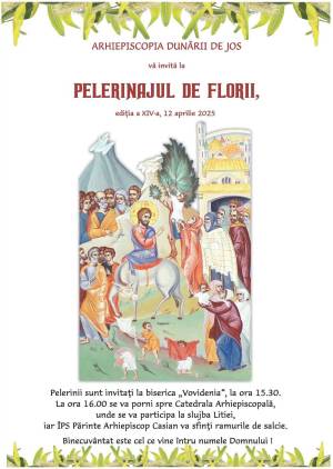 Florii_Galati_original