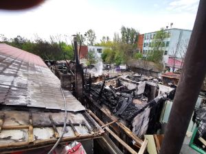 IMG-20230428-WA0032_copy_1