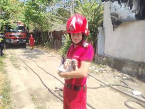 IMG-20240713-WA0014_original