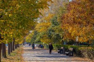 IMG-20241101-WA0020_original