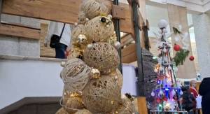 IMG-20241217-WA0013_original