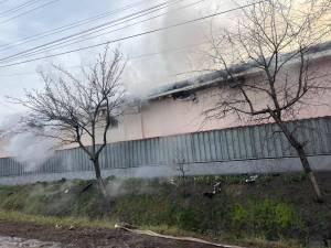 IMG-20250121-WA0048_original
