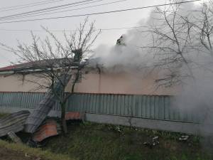 IMG-20250121-WA0049_original