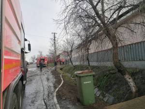 IMG-20250121-WA0050_original