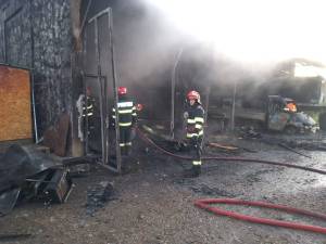 IMG-20250206-WA0002_original
