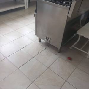 IMG-20250305-WA0018_original