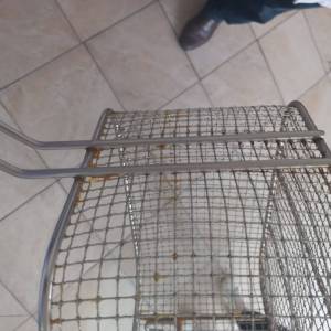 IMG-20250305-WA0020_original