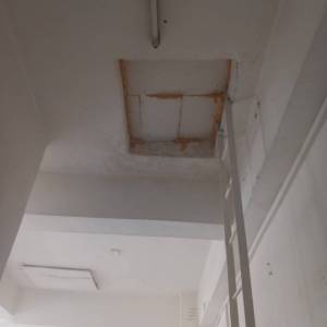 IMG-20250305-WA0038_original