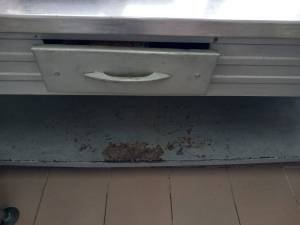 IMG-20250305-WA0056_original