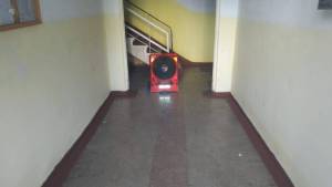IMG-20250419-WA0006_original