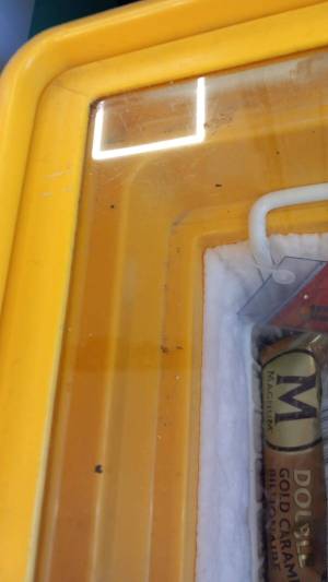 IMG-20250603-WA0019_original