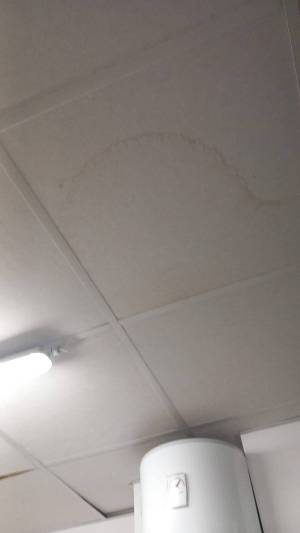 IMG-20250603-WA0022_original