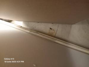 IMG-20250618-WA0039_original
