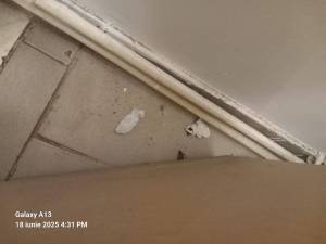 IMG-20250618-WA0040_original