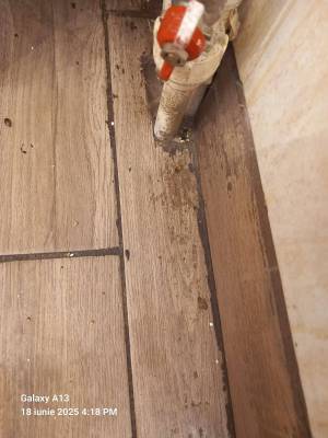 IMG-20250618-WA0048_original