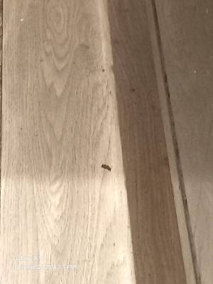 IMG-20250618-WA0049_original