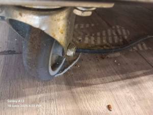 IMG-20250618-WA0052_original