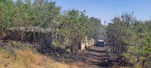 IMG-20250707-WA0063_original