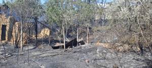 IMG-20250707-WA0064_original