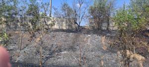 IMG-20250707-WA0066_original