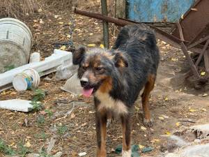 IMG-20250722-WA0037_original