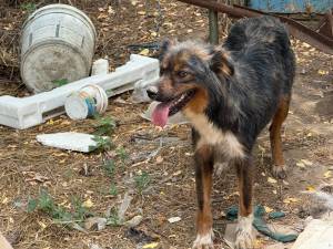 IMG-20250722-WA0039_original