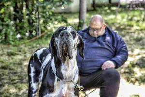 IMG_1475_2_original