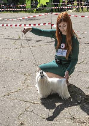 IMG_1553_original
