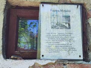 IMG_20250702_124935_original